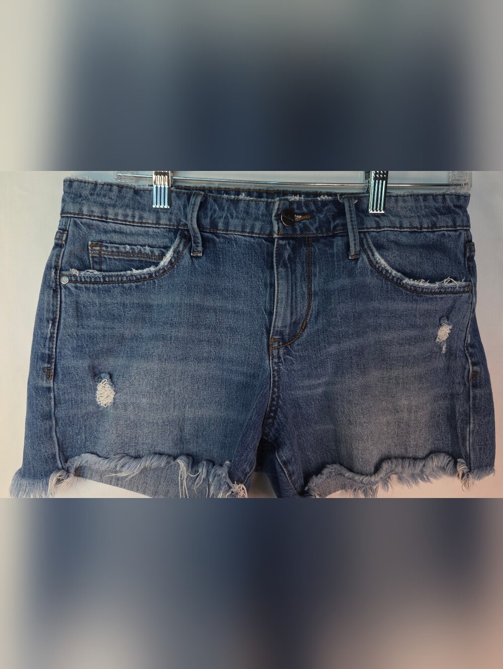 Sam Edelman Womens Jean Shorts Sz 29 The Lotus Frayed Edges Denim 4" Inseam
